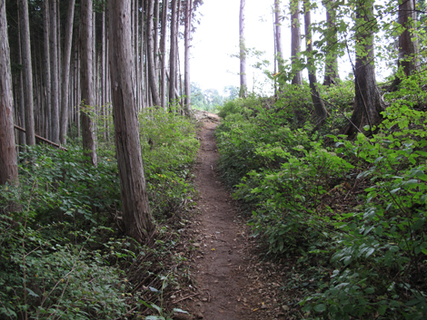 20161014hike (170)
